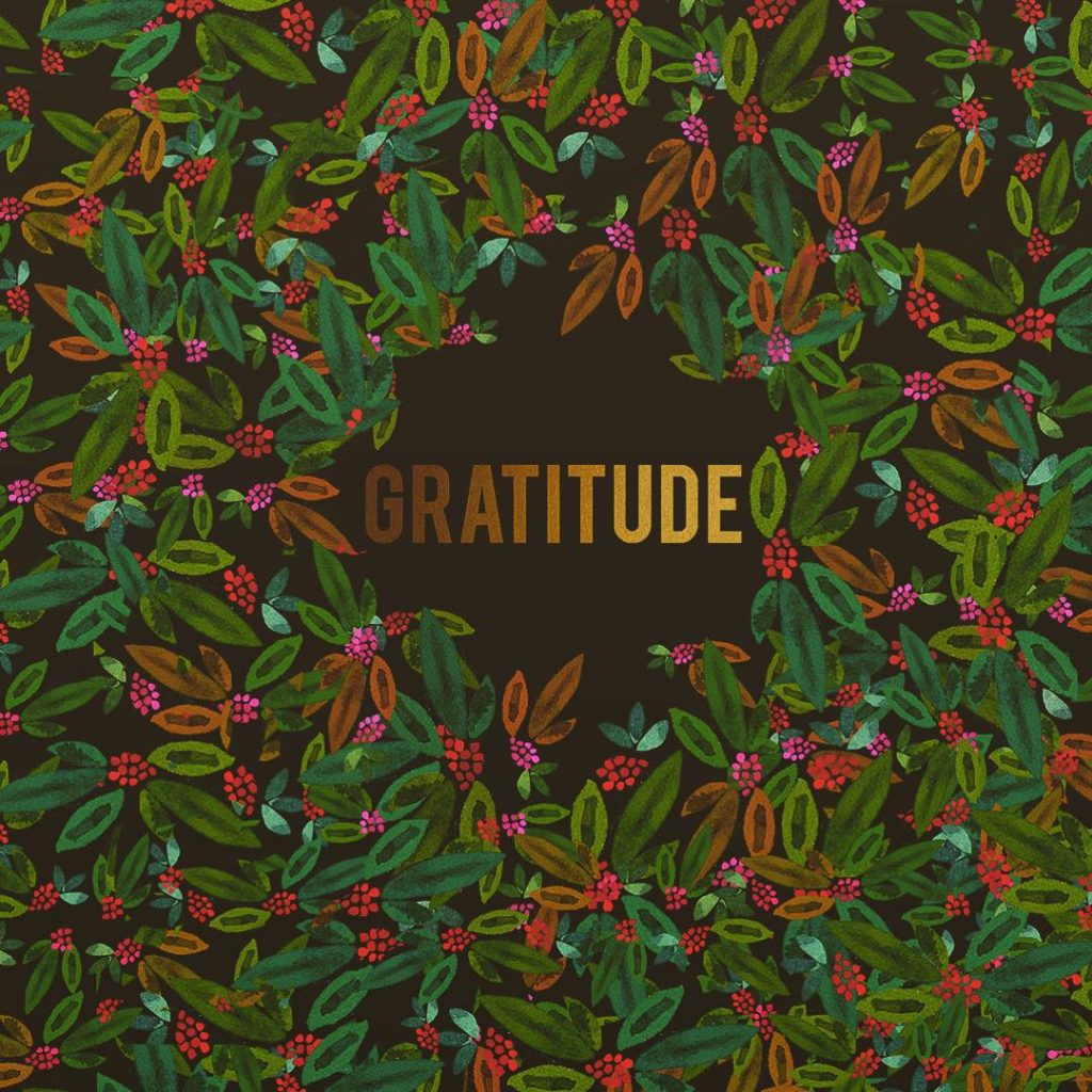 @thejungalow: We are so grateful for all of you. You inspire us everyday and as a tiny token o…