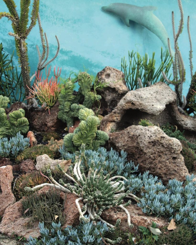 @gardendesignmag: I’d like to be, under the sea, in an octopus’s garden with you The undersea #su…