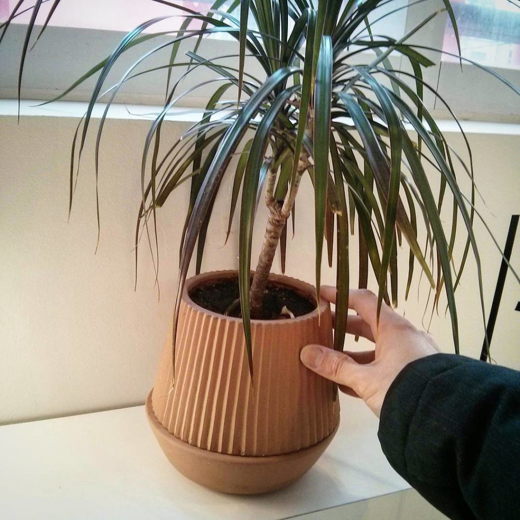 @houseplantjournal: An interesting design for a clay planter: the base fits neatly with the pot and …