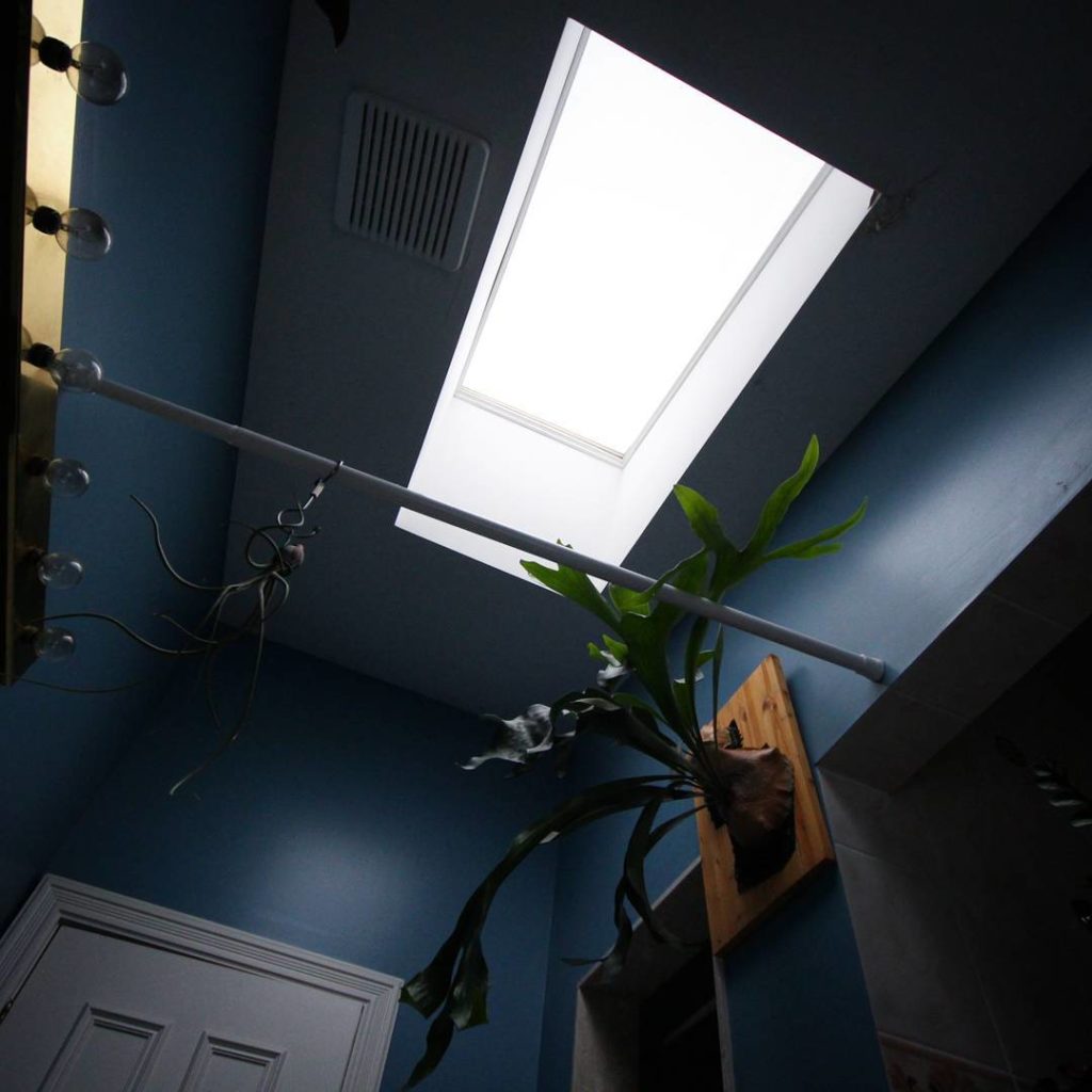 @houseplantjournal: My bathroom skylight this morning – snow covered, letting in dim diffused light….