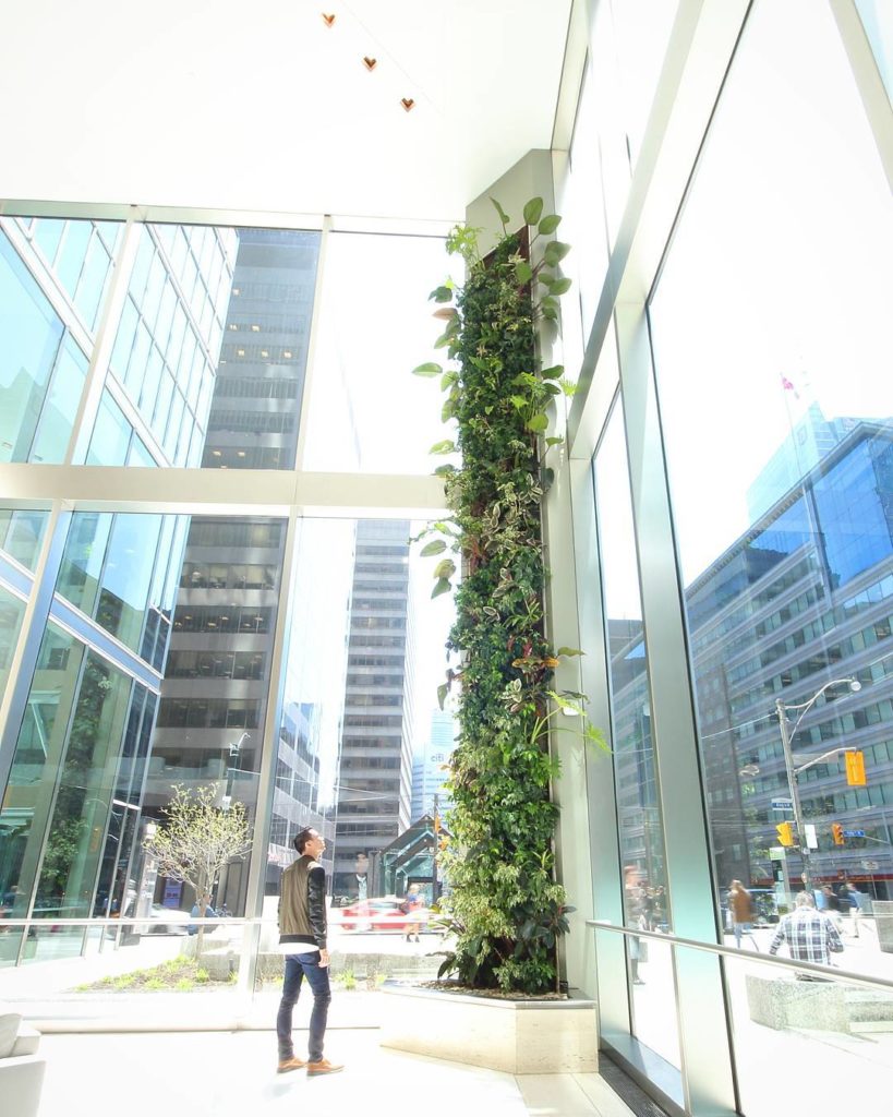 @houseplantjournal: Here’s one of the spectacular living walls in the Sun Life Financial Tower – jus…