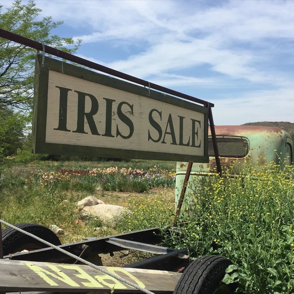 @gardendesignmag: Pull over! Roadside iris sale!
Click on the link in bio to sign up for our FREE…