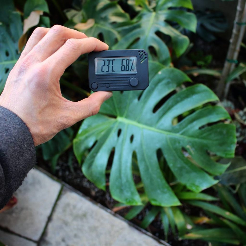@houseplantjournal: Plant nerd: brought my hygrometer to Cloud Gardens Conservatory to truly appreci…