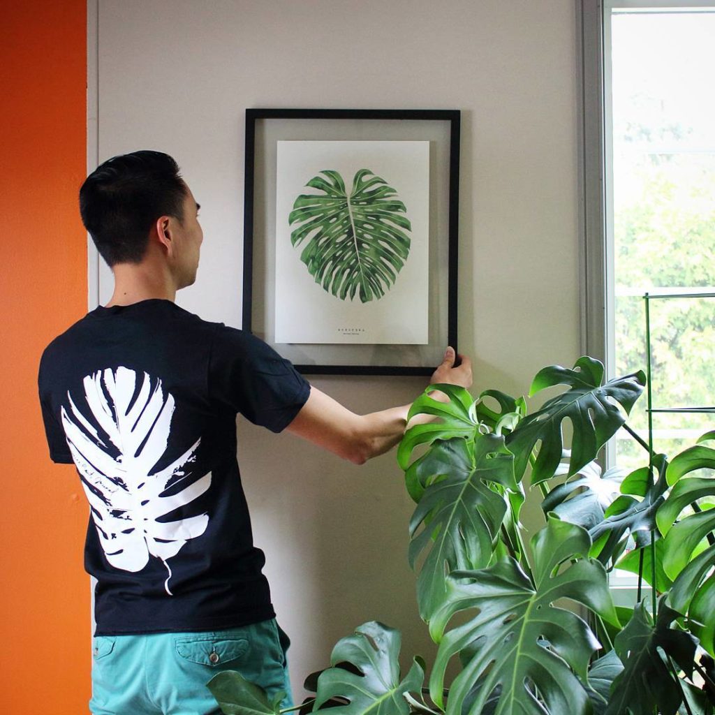 @houseplantjournal: Monstera Trifecta
#monstera #monsteradeliciosa #livingpattern #houseplants #ind…