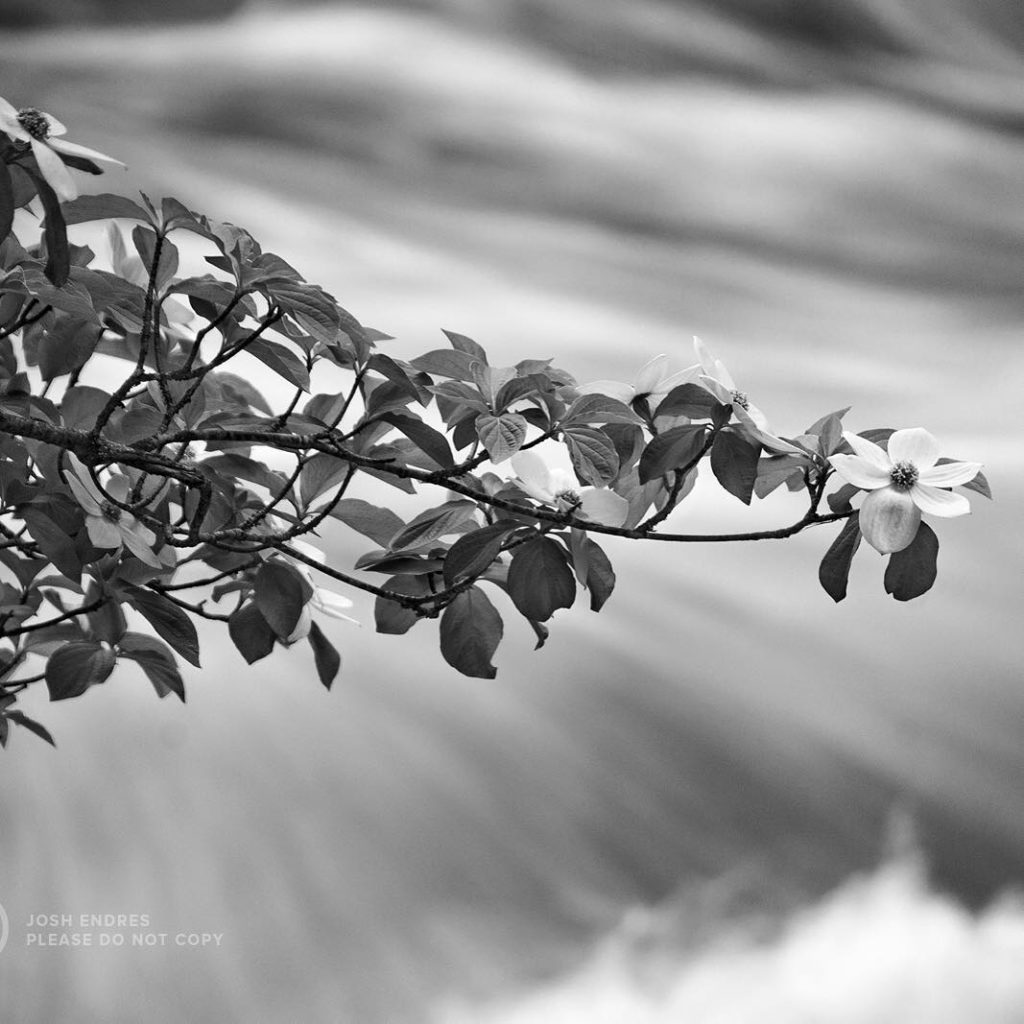 @gardendesignmag: From our art director @jmtguy
Have You Been to Yosemite Valley Recently? Go!
E…