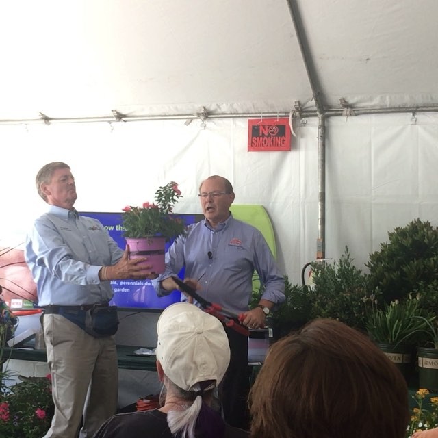 @gardendesignmag: The Flower Carpet Rose demo aims to prove how easy care they are.
Demo at Villa…