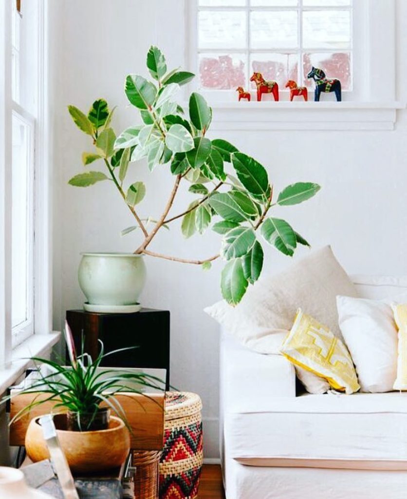 @thejungalow: Have you read our book #thenewbohemians? What kind of New Bohemian are you? Mode…