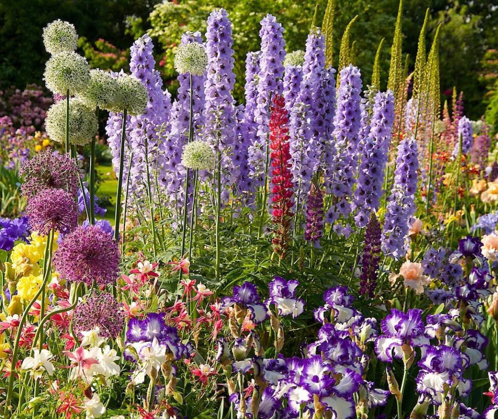 @gardendesignmag: It was a picture-perfect spring day at @schreinersiris
Stay up-to-date with Gar…