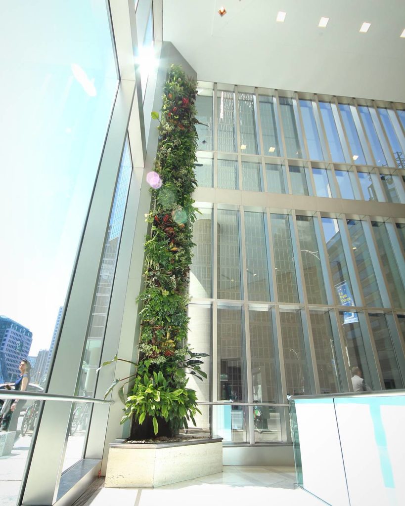 @houseplantjournal: Here’s a living wall receiving plenty of natural light – with real lens flare! #…