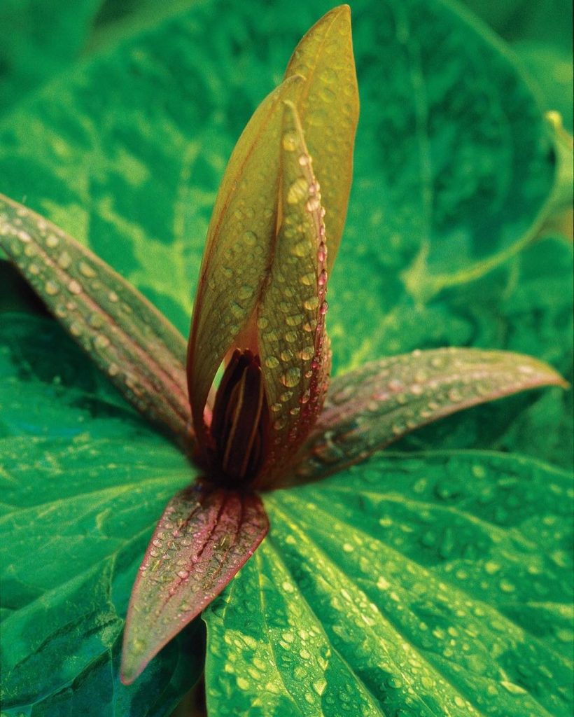 @gardendesignmag: Are you a fan of wildflowers?
Stay up-to-date with Garden Design. Click on the …