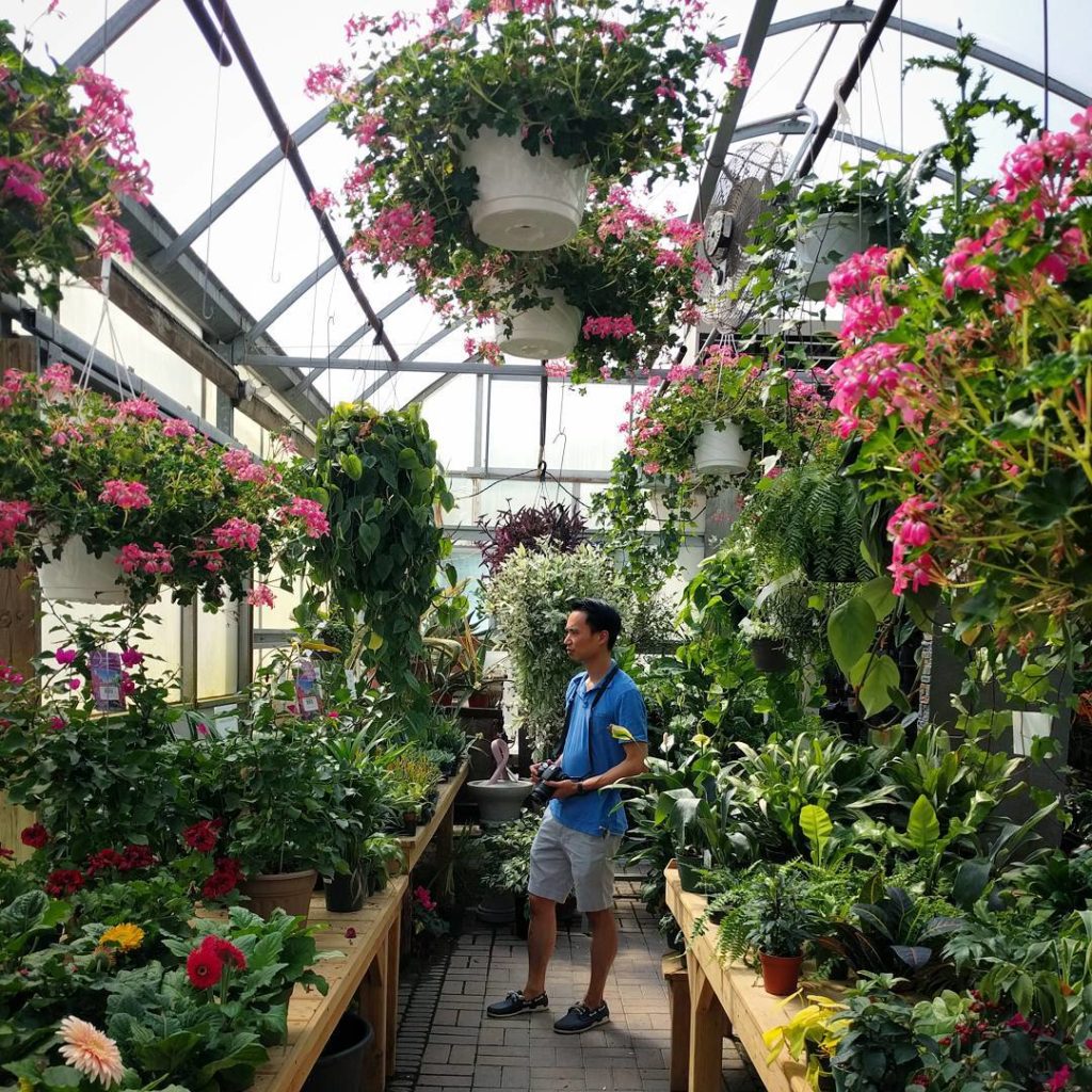 @houseplantjournal: Visiting some plant nurseries and shops in eastern Ontario: here’s Lockyer’s Cou…