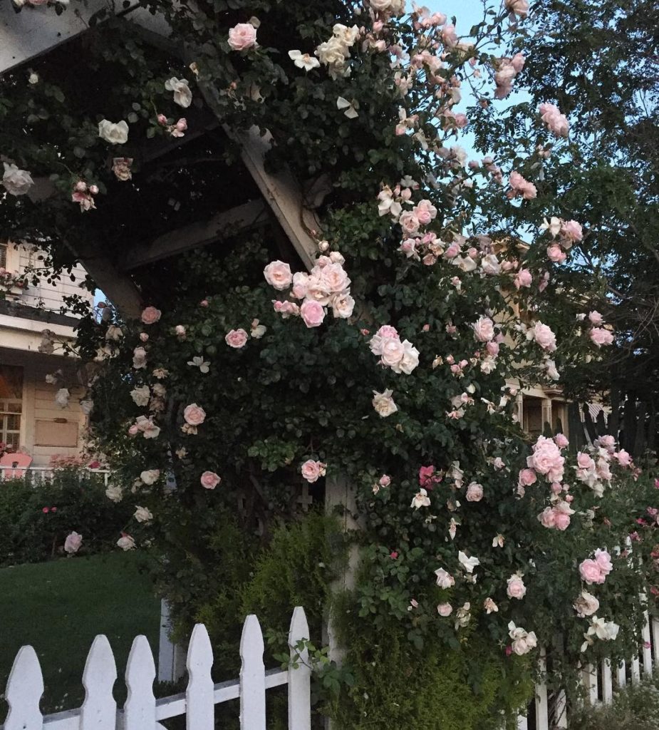 @gardendesignmag: Now this says “welcome to my garden”
Stay up-to-date with Garden Design. Click …