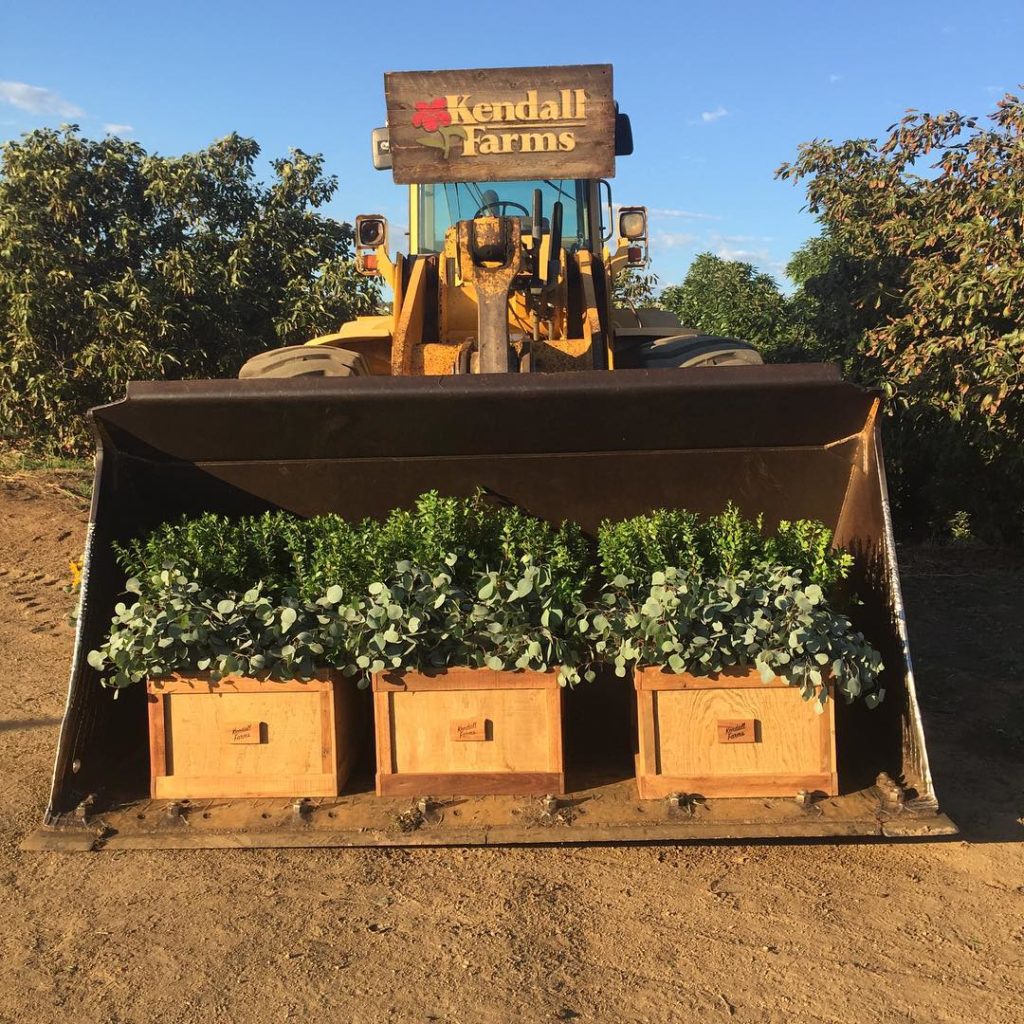 @gardendesignmag: @kendall_farms ️ Stay up-to-date with Garden Design. Click on the link in bio to…