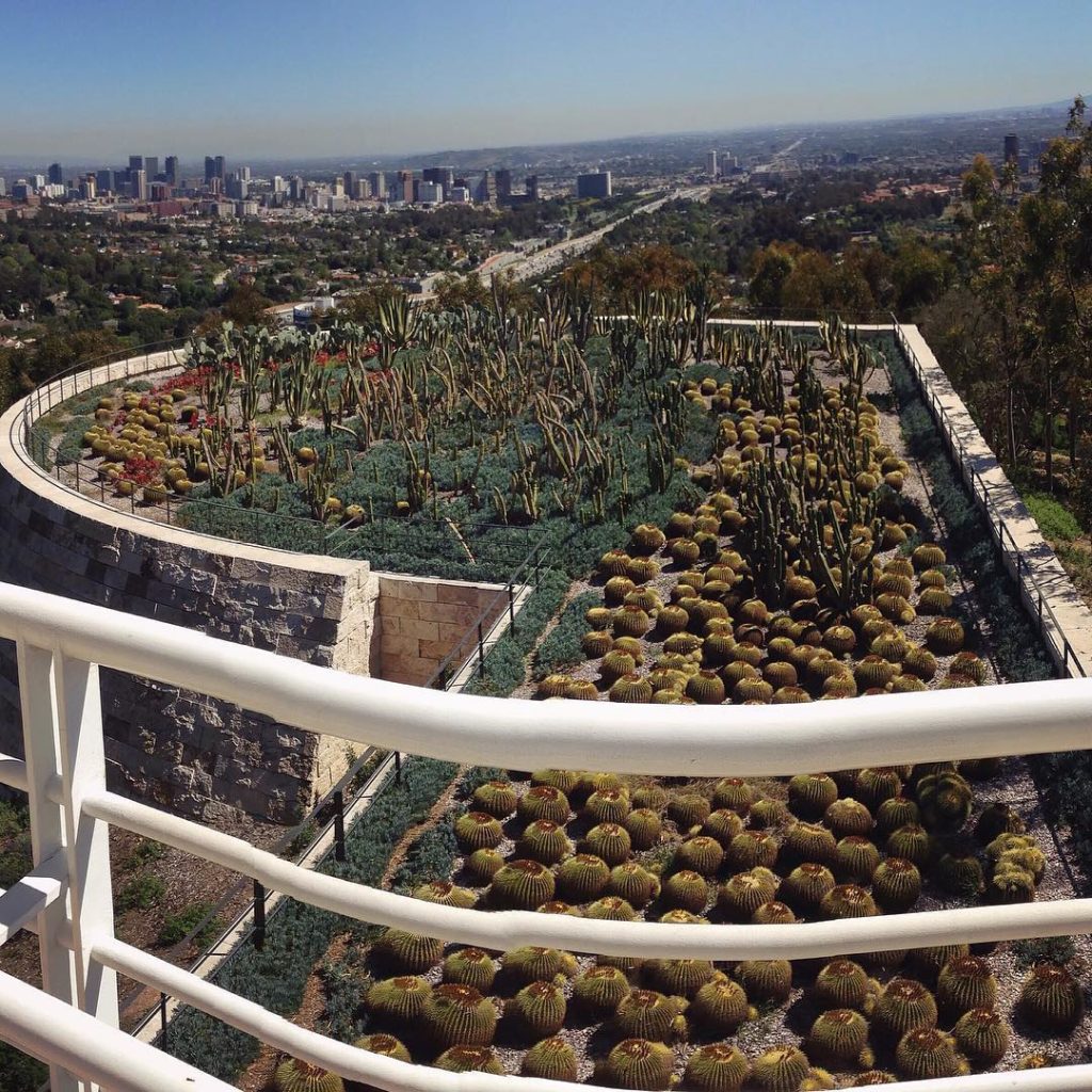 @gardendesignmag: Cactus garden at the Getty ️ Stay up-to-date with Garden Design. Click on the li…