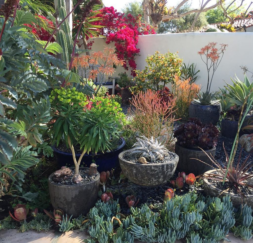 @gardendesignmag: A garden by the sea
Stay up-to-date with Garden Design. Click on the link in b…