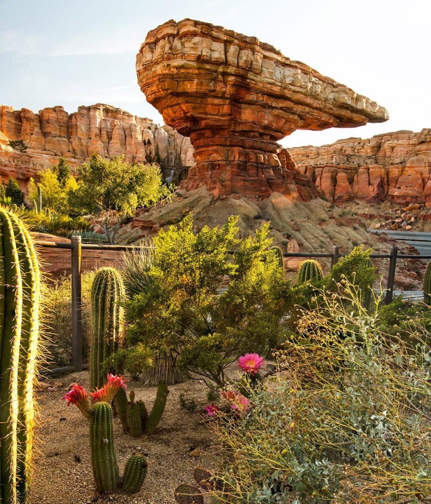 @gardendesignmag: In Cars Land, plants make visitors feel like they’re cruising through the Southw…