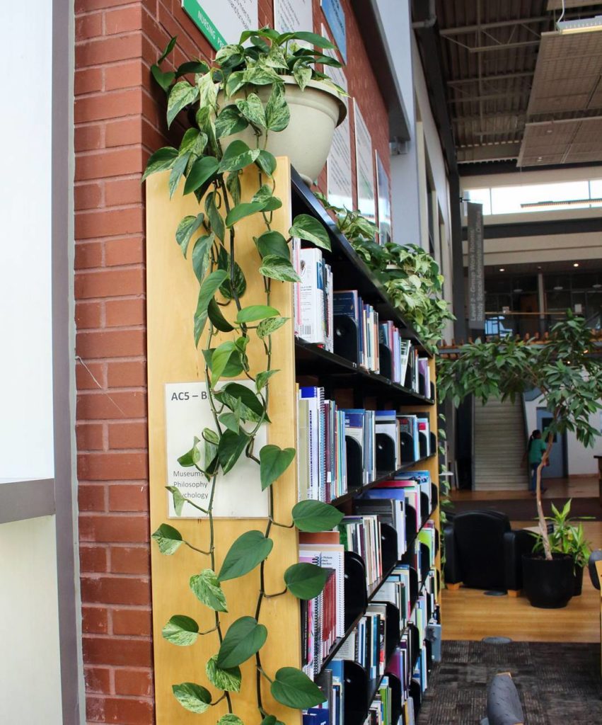 @houseplantjournal: Books and plants #pothosmarblequeen #pothos #plants #gardening #leaf #botanical …