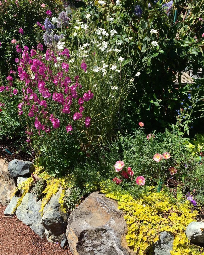 @gardendesignmag: Wonderful plant combination at @anniesannuals spotted by our editor in chief Tha…