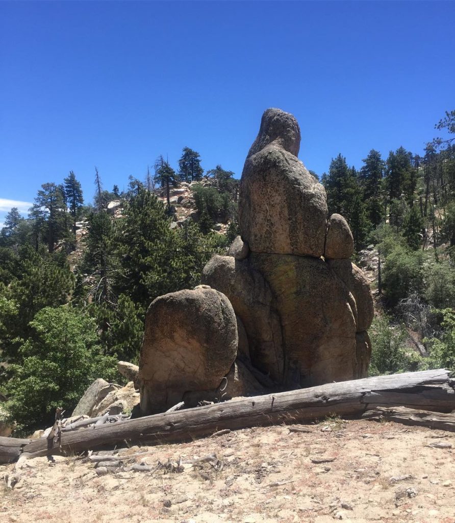 @gardendesignmag: Take a deep breath, and enjoy nature for a minute. ️ Stay up-to-date with Garden…