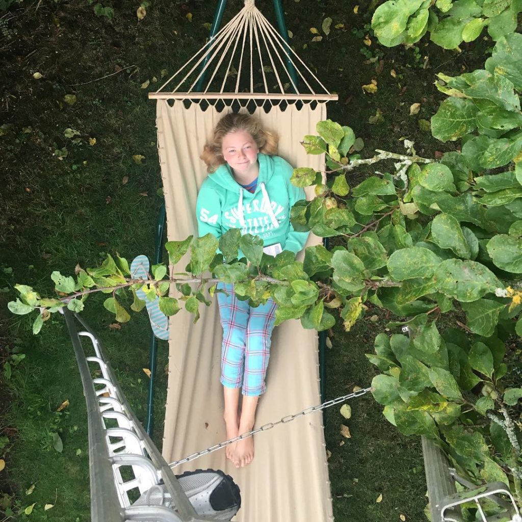 @richardmiers: View down from the ladder and the plum tree onto the new hammock and eldest daug…