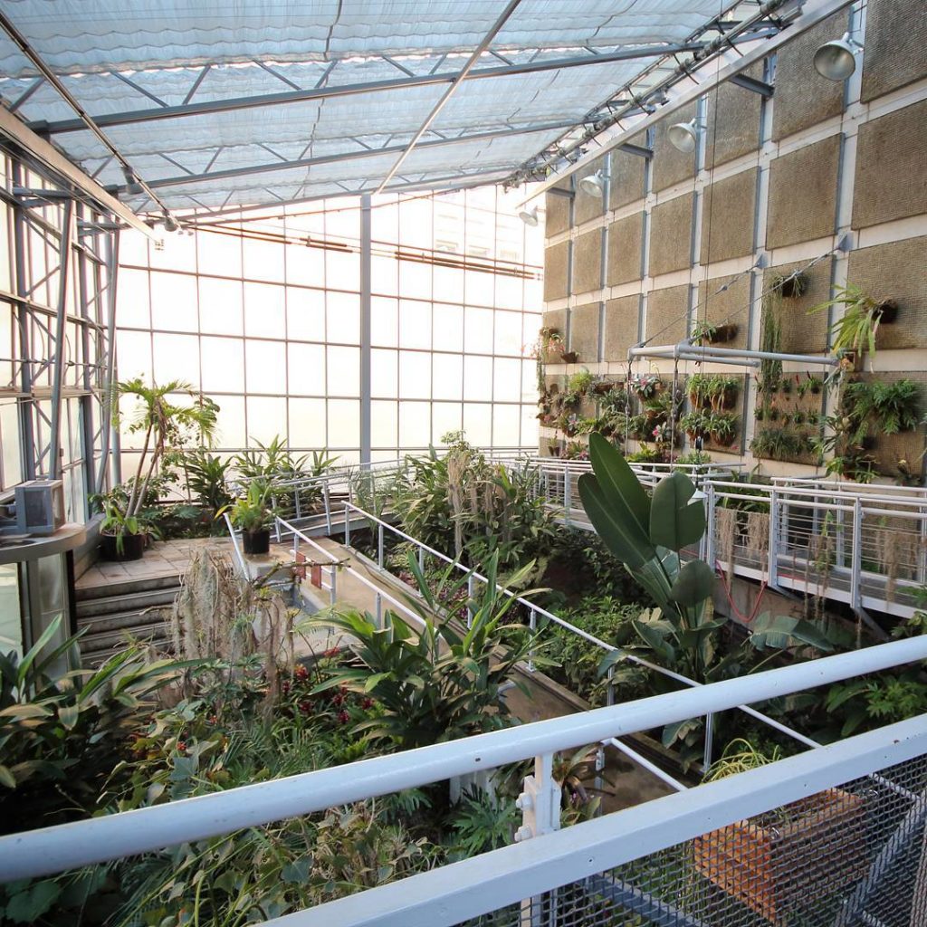 @houseplantjournal: A contribution to @greenhousehunter – although Cloud Gardens Conservatory is sma…