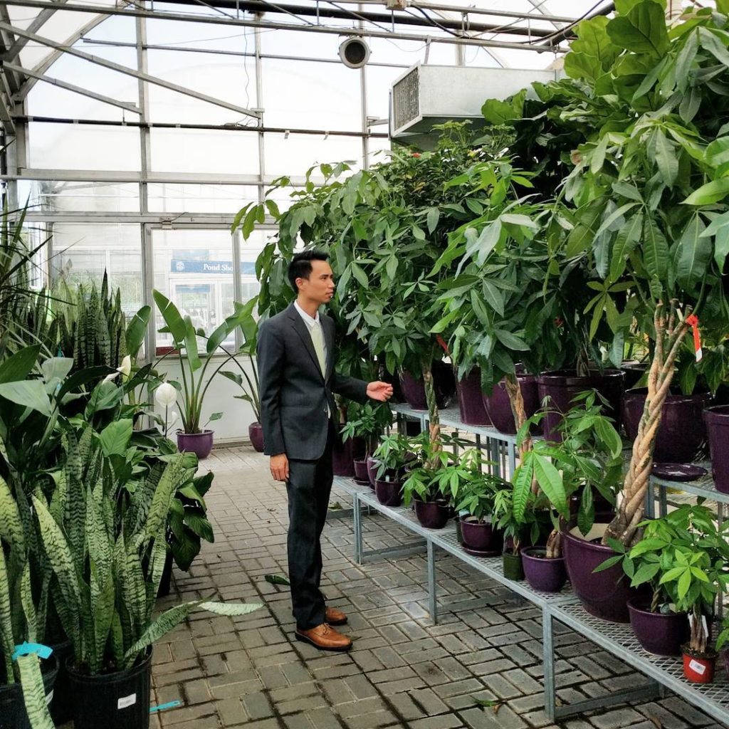 @houseplantjournal: What to do in between a wedding and the reception – plant hunting in formal atti…