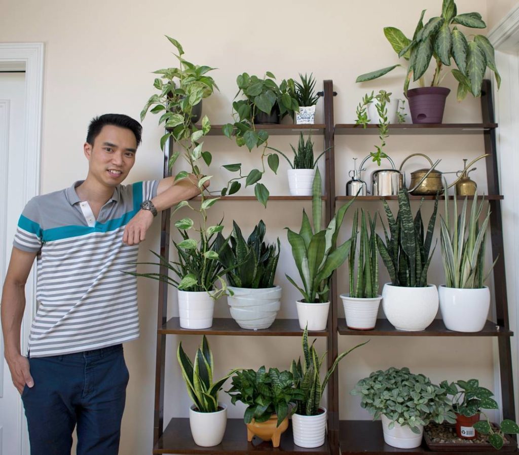 @houseplantjournal: The September theme for @urbanjungleblog is #plantselfie to get to know who’s be…