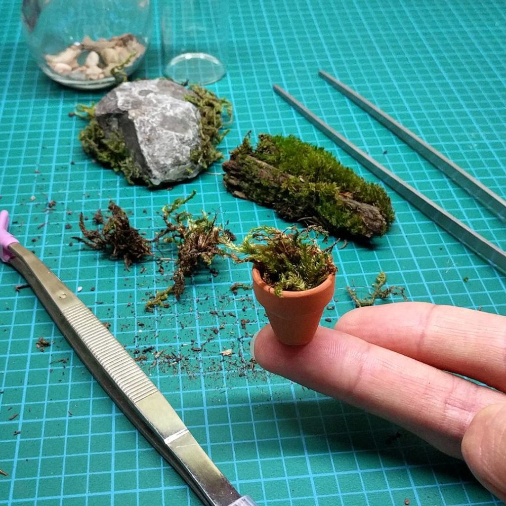 @houseplantjournal: I had the opportunity to meet with @bonsai_toronto (custom terrariums too). It’s…