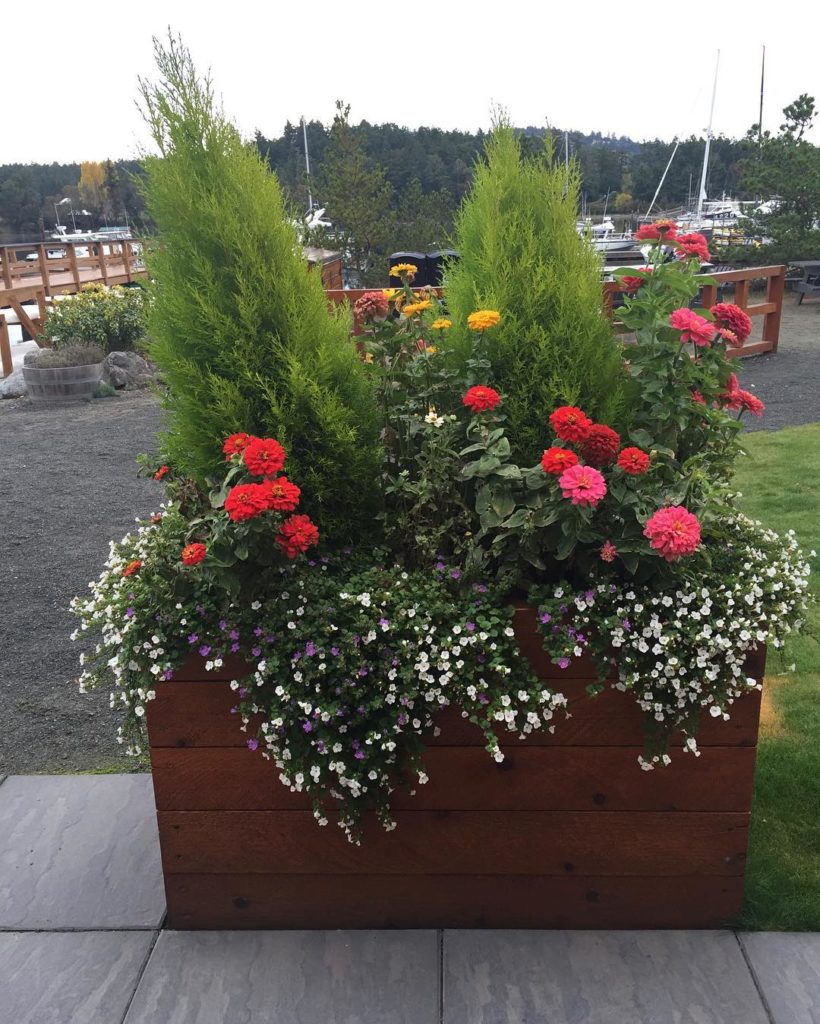 @gardendesignmag: Container garden spied at Snug Harbor on San Juan Island
Stay up-to-date with …