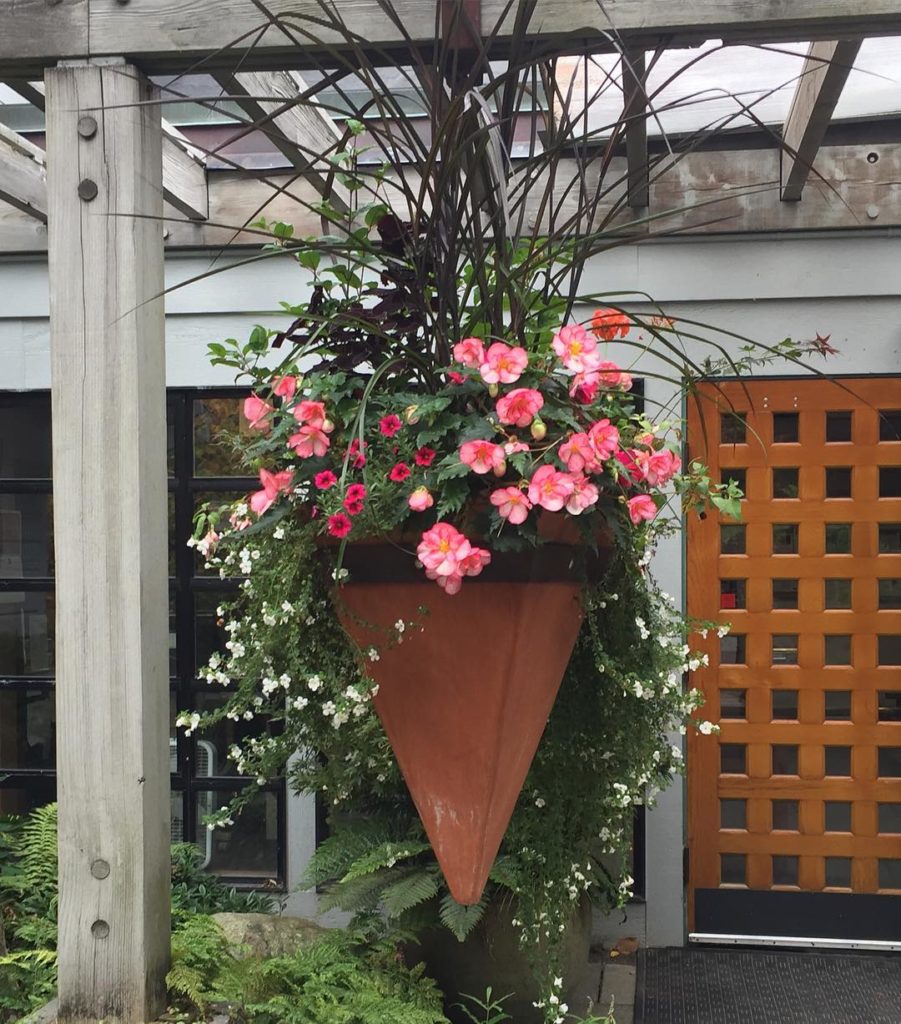 @gardendesignmag: Look what greets you at Washington Park Arboretum. The Arboretum is a hidden ge…