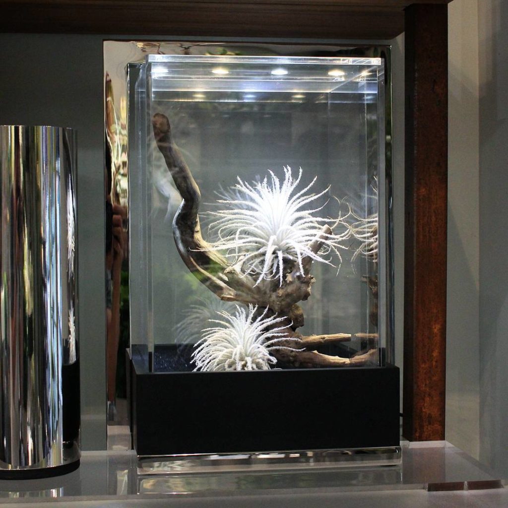 @houseplantjournal: Also by special request while in Hong Kong, I visited The Stalk Room (@thestalkr…