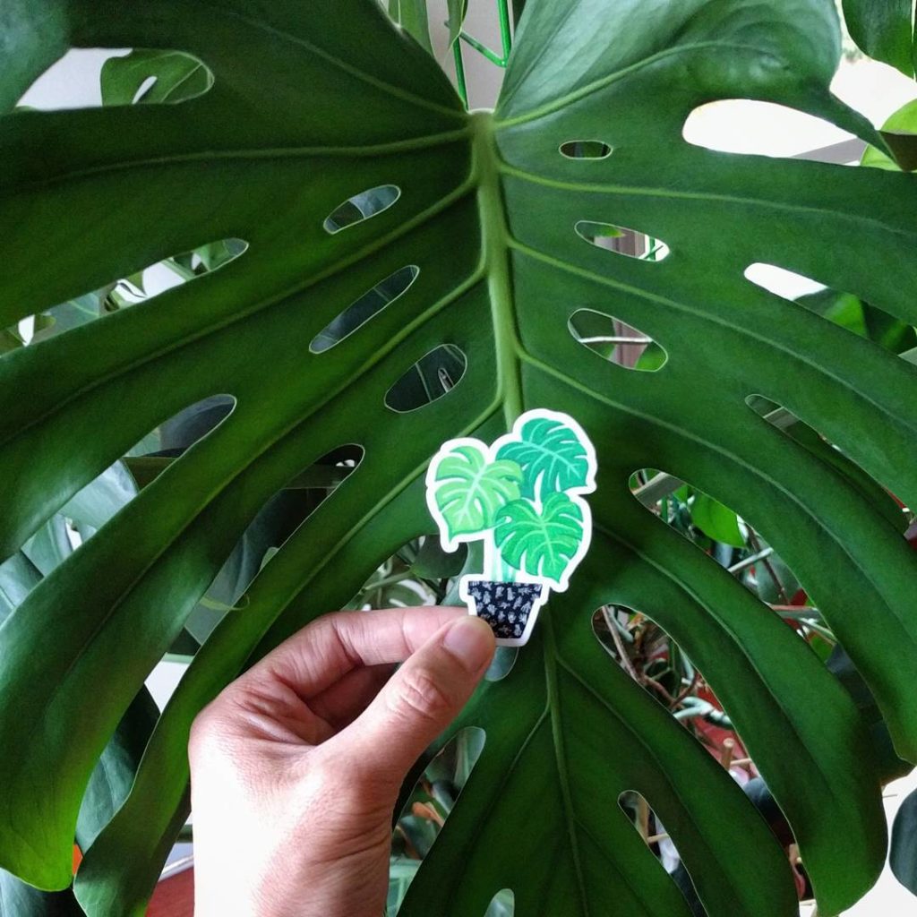 @houseplantjournal: Of course there would be a monstera in the set of stickers by @cactusclubpaper
…