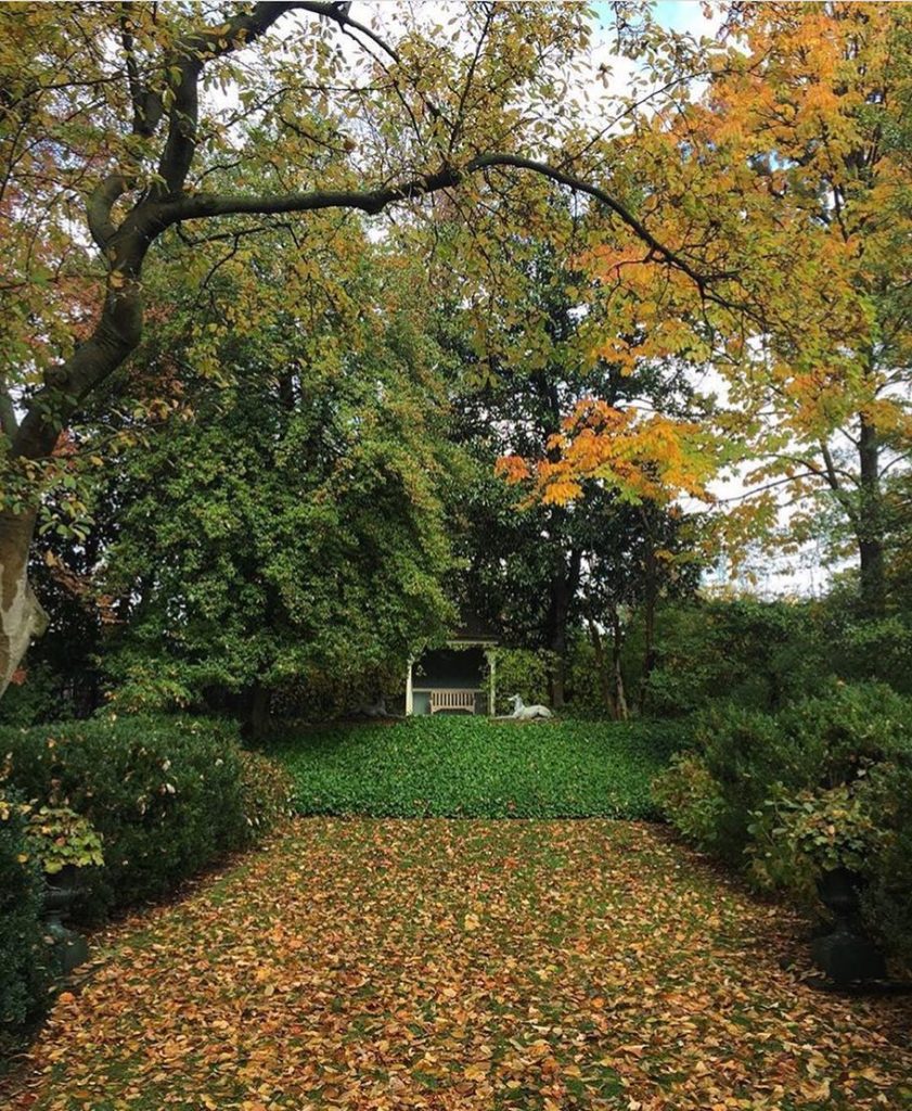 @gardendesignmag: Great fall color captured by @kelliecoxartist in DC. Tag yours with #gdfallcolor…