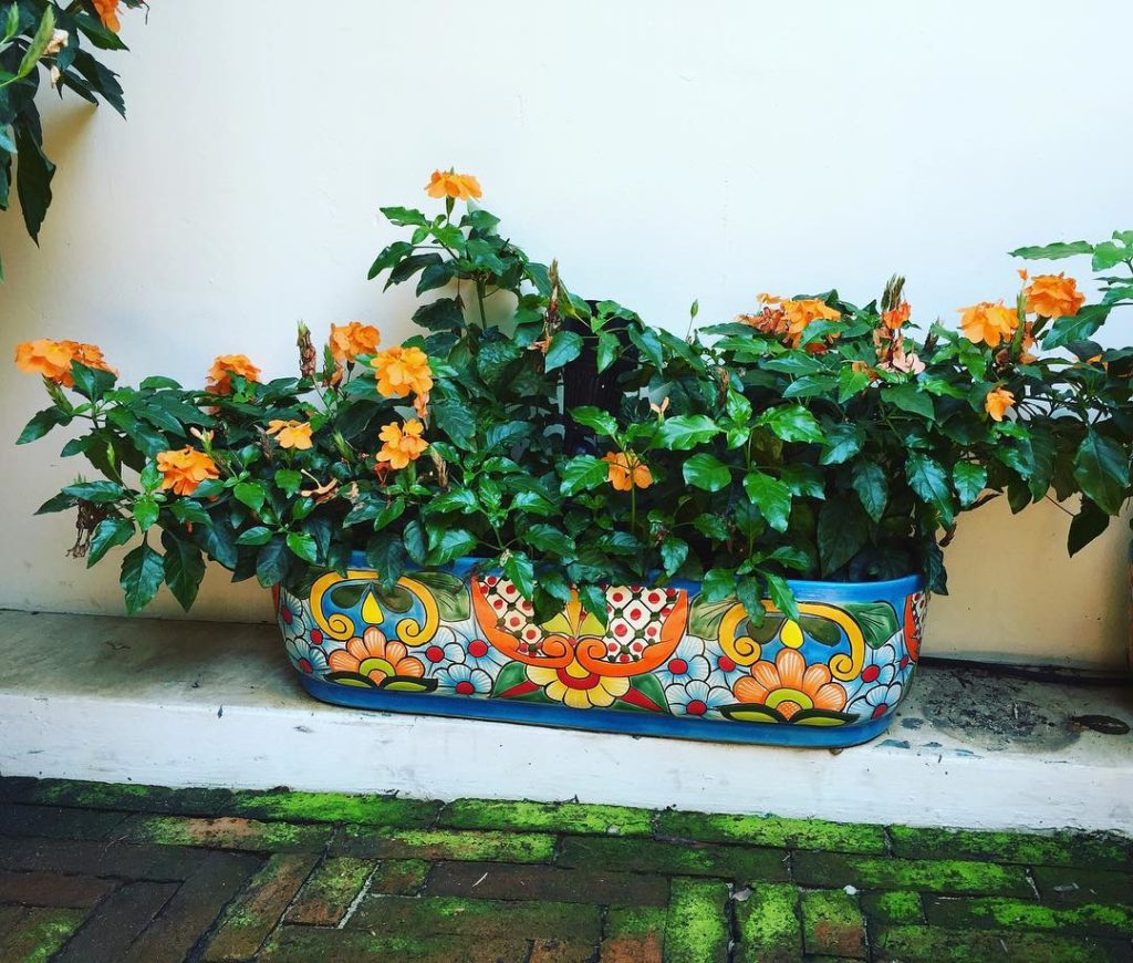 @gardendesignmag: Traveling this weekend? Show us what autumn looks like where you are by using #g…