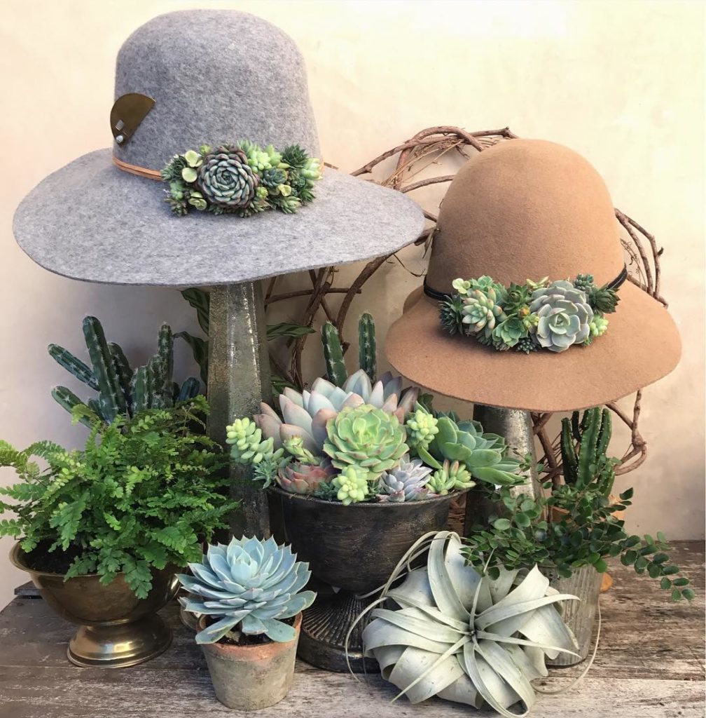 @gardendesignmag: If you’re around Orange County (California) on Sunday, check out the succulent h…