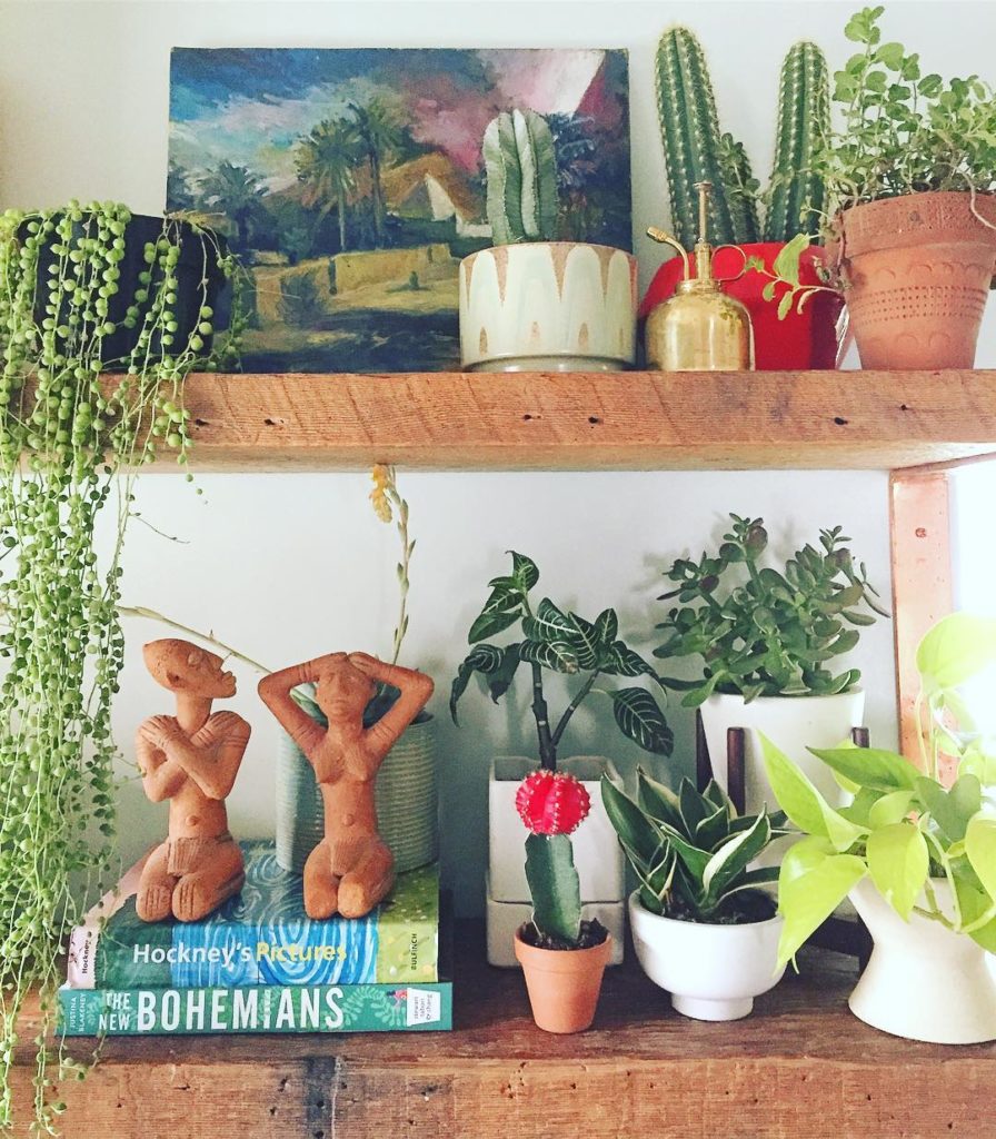 @thejungalow: A few pointers for a good #JungalowStyleShelfie 1.) Have at least one ‘spiller’ …