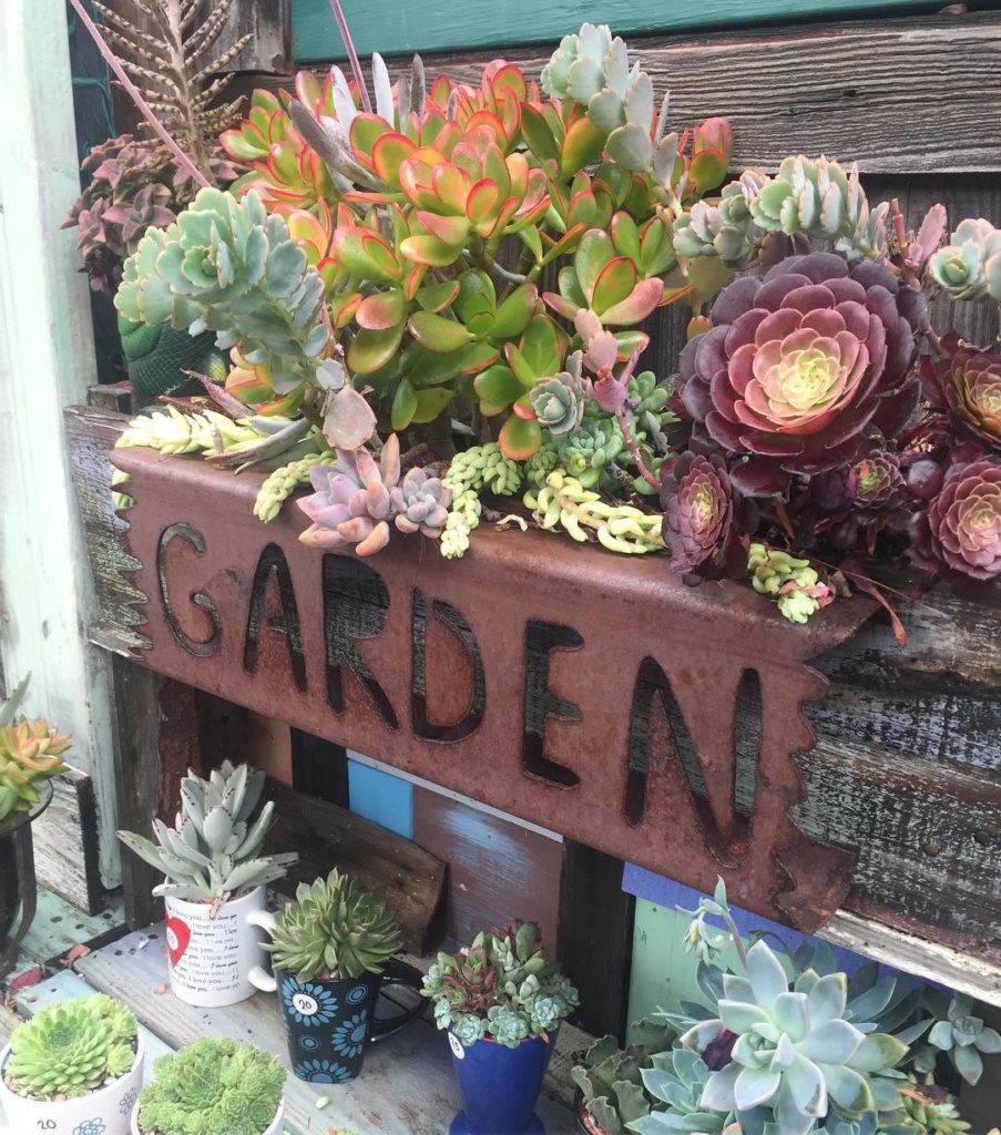 @gardendesignmag: Today calls for succulents and coffee ️ In Oceanside, CA there’s a magical place…