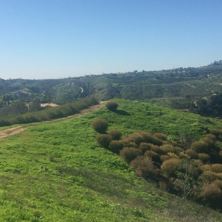 @gardendesignmag: Job description: go out and see 500+ acre flower farms and meet the nicest peopl…