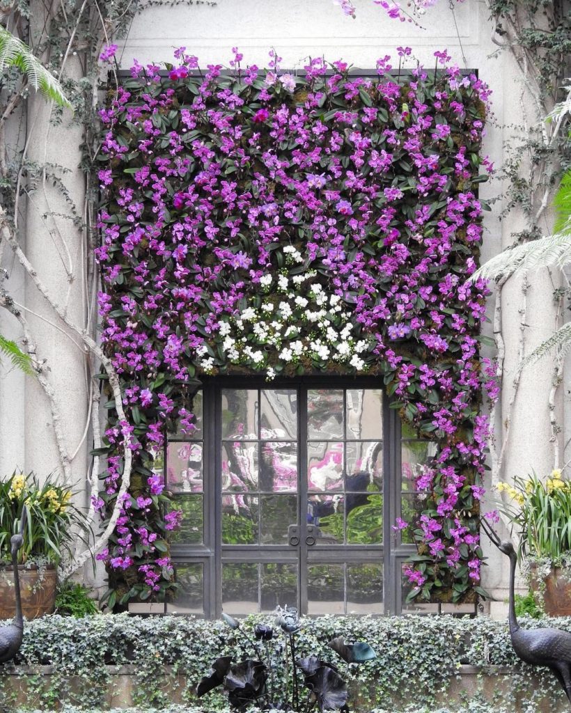 @gardendesignmag: Have you seen @longwoodgardens 17′ #orchid curtain with over 250 Cattleya and Ph…