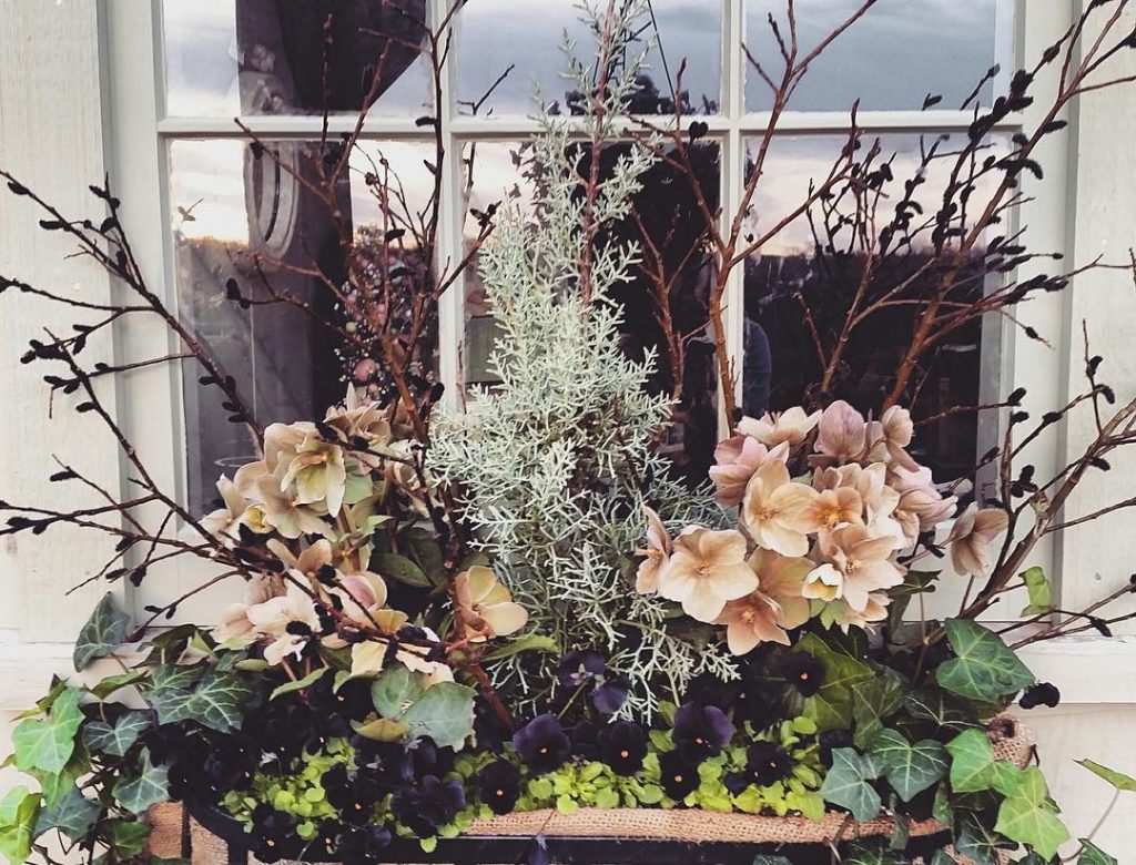 @gardendesignmag: Hello #flowerfriday! Beautiful window box of Accord Black Beauty Pansy, ivy, Hel…