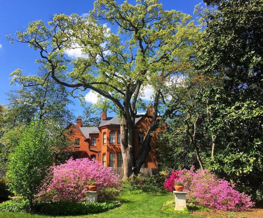 @gardendesignmag: Hello spring! The azaleas are blooming at @tudor_place in Washington DC. By the …