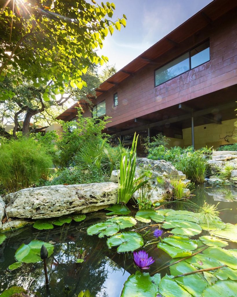 @gardendesignmag: A designed lilypond is framed on the left by Muhlenbergia dumosa behind uncut li…