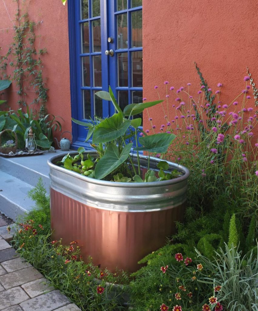 @gardendesignmag: Learn how to create a container water garden like this in the new book Potted: M…