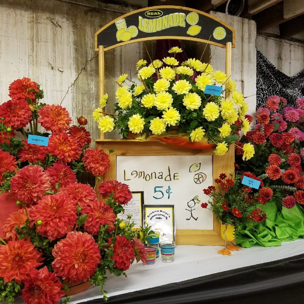@gardendesignmag: Do you love dahlias? @swanislanddahlias annual dahlia festival happening today-M…