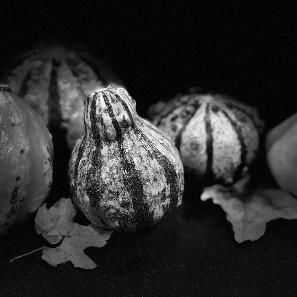 @gardendesignmag: What are your plans for tonight?
Celebrate autumn by signing up for our free w…