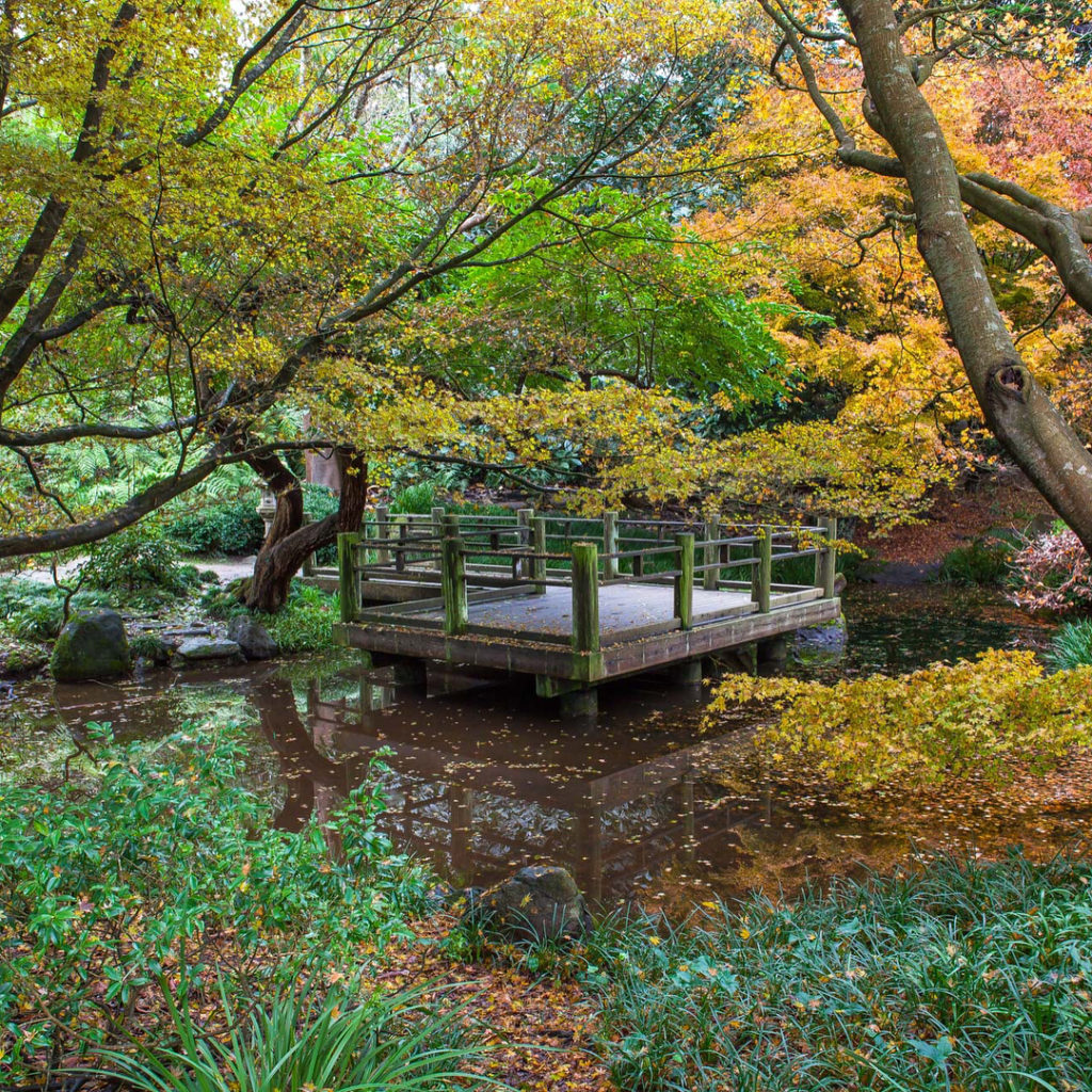 @gardendesignmag: Wanna go for a walk? Fall is at peak color at @sfbotanicalgarden and we’re in l…