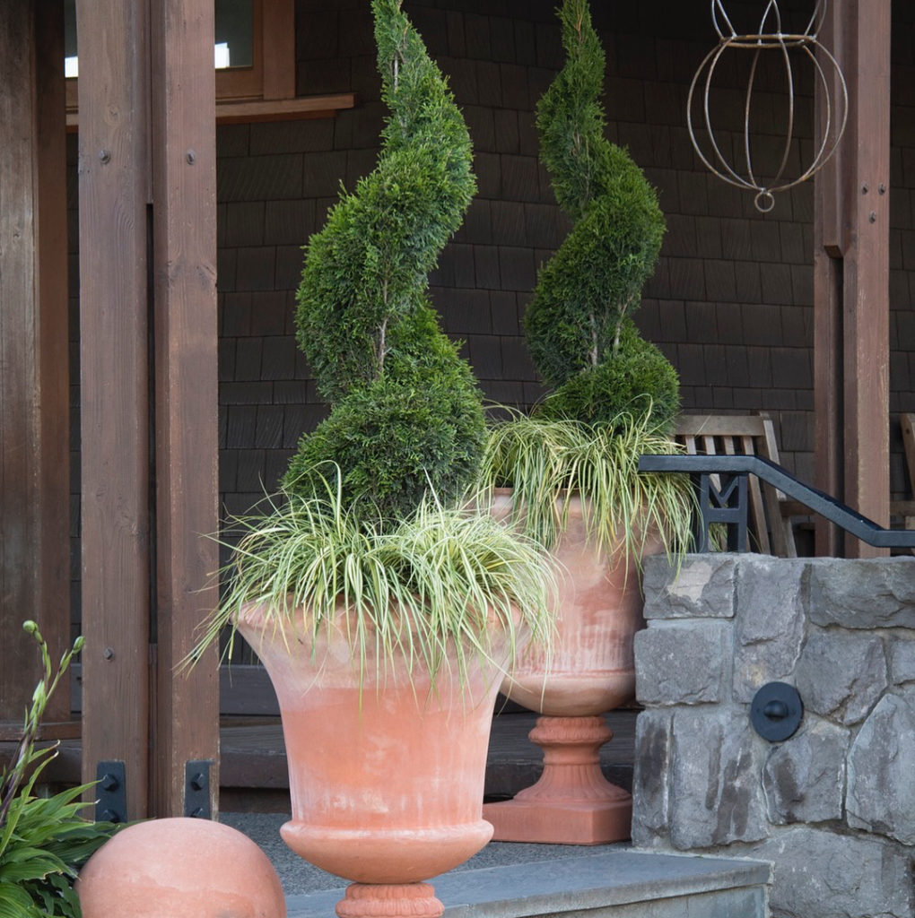 @gardendesignmag: “Conifers are one of my favorite groups of plants because they are so versatile …