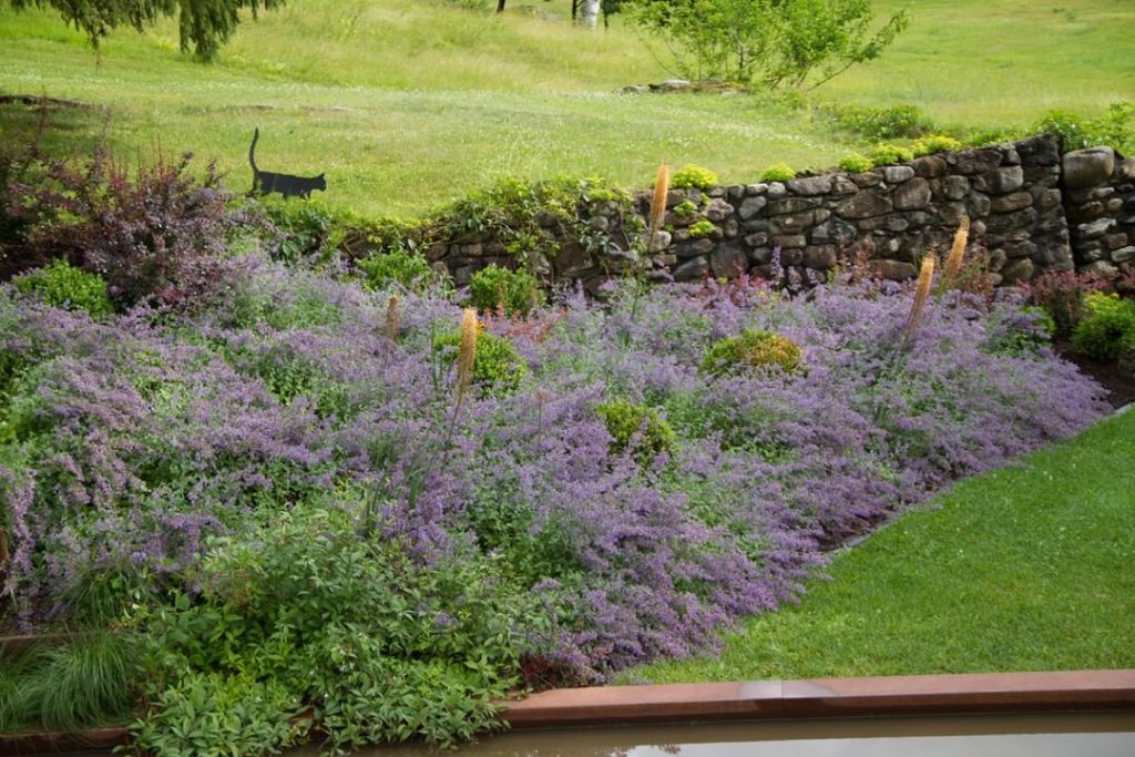 @gardendesignmag: From blog we love Site & Insight by @pattersonwebster6851:
“Mid-July is truly th…