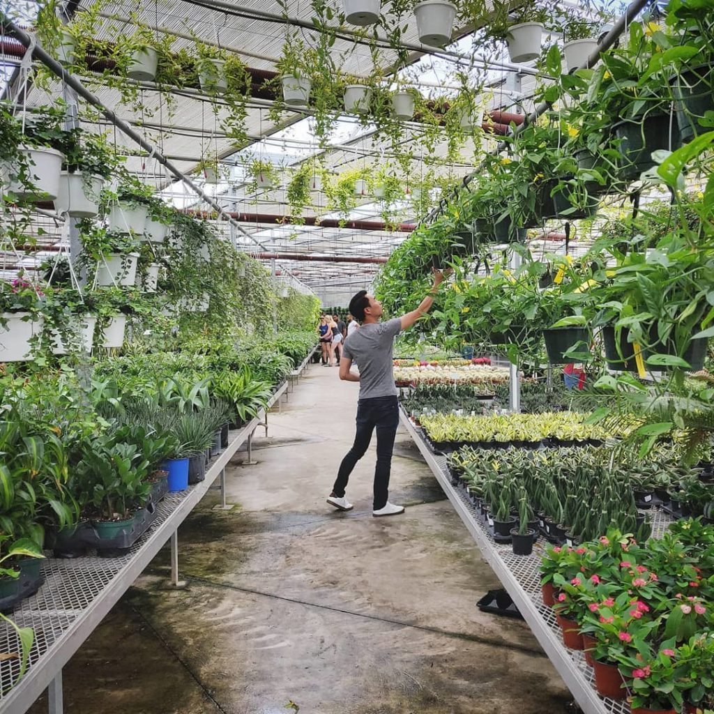 @houseplantjournal: Images are typically saved in jpg – a compressed format. The compression algorit…