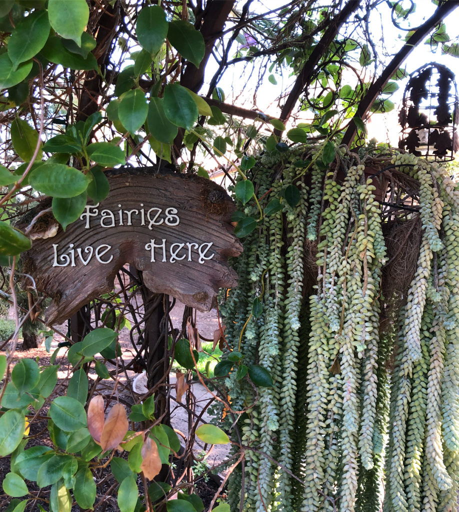 @gardendesignmag: Let’s take a tour of a garden from the San Diego Hort Society’s 2018 Garden Tour…